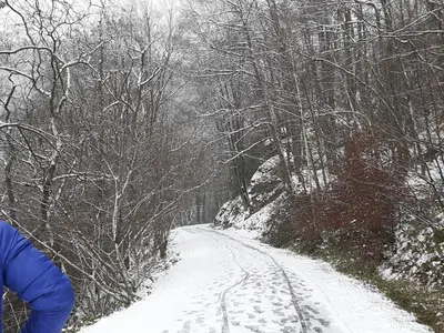 L'établissement Gite Vallée et Semoy en hiver