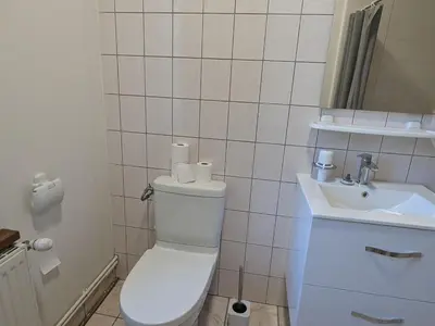 Salle de bains dans l'établissement Gîte confortable dans l'ancien presbytère de Futeau, 3 chambres, jardin, WiFi, entre Verdun et Châlons - FR-1-585-13