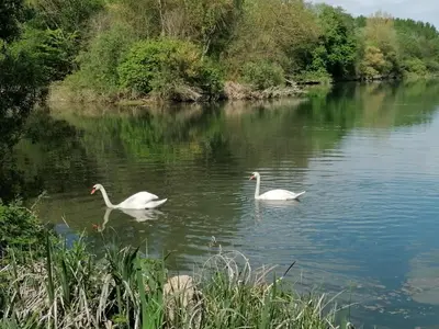 Paysage naturel près de la tente de luxe