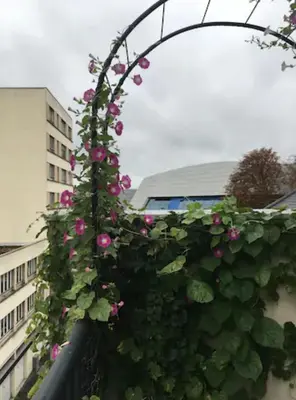 Jardin de l'établissement Suite Magdelaine - Vue Cathédrale