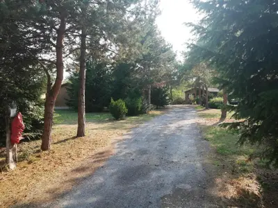 Paysage naturel près de le camping