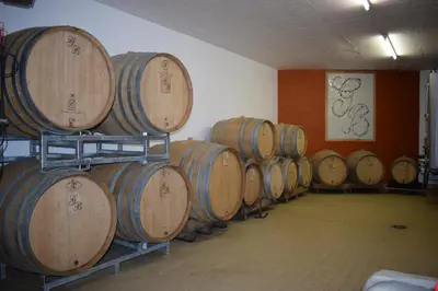 Plan de l'établissement Gîte« Le Pressoir » chez viticulteur en biodynamie