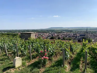 Paysage naturel près de l'appartement