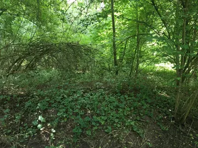 Paysage naturel près de le séjour chez l'habitant