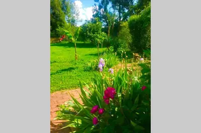 Jardin de l'établissement Villa Lilly 2 piscine et jardin privé 8 chambres