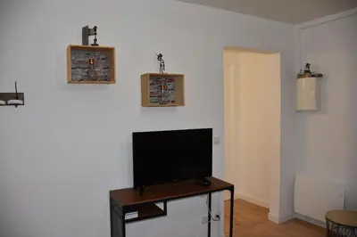 Télévision ou salle de divertissement dans l'établissement ESCALE À ÉPERNAY APPT 2/4 PERS AUX BORDS DE MARNE
