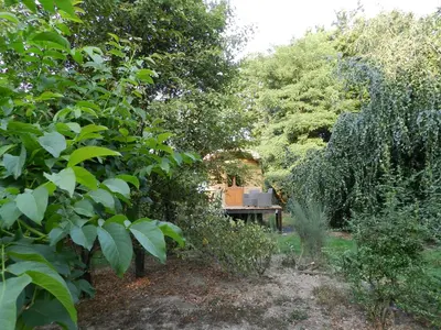 Jardin de l'établissement Gîte Les Marlières