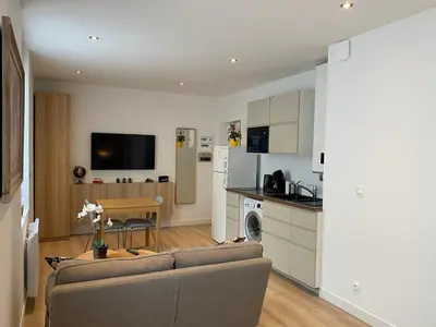 Cuisine ou kitchenette dans l'établissement Studio 28m2 avec parking privé - Lycée Roosevelt - Arena - Gare