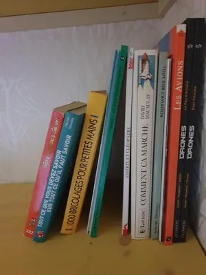 Bibliothèque dans la maison de vacances
