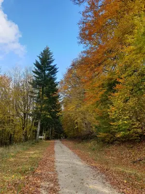 Paysage naturel près de la maison de vacances