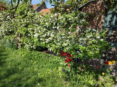 Jardin de l'établissement Entre Meuse et forêt