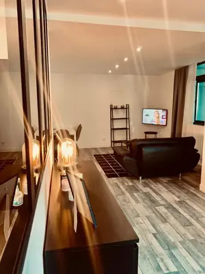 Télévision ou salle de divertissement dans l'établissement Superbe appartement en hyper centre de Charleville