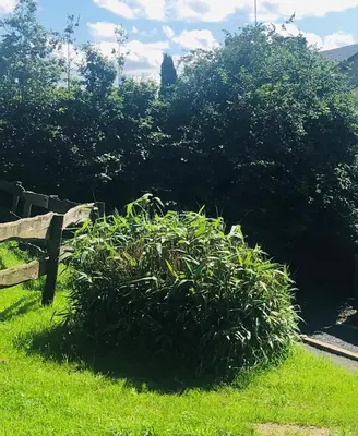 Paysage naturel près de la maison de vacances