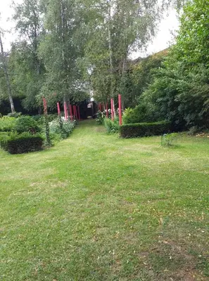 Jardin de l'établissement VILLA LES CAMELIAS