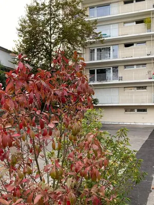 Bâtiment de l'appartement