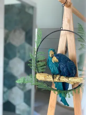 Animaux dans le B&B/chambre d'hôtes ou à proximité