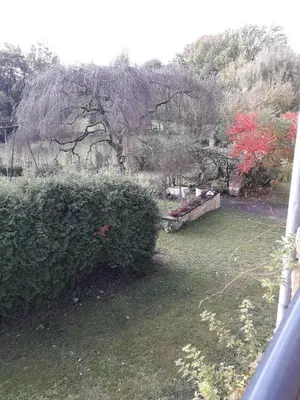 Jardin de l'établissement Gîte Tante Aurore et chambres d'Hôtes