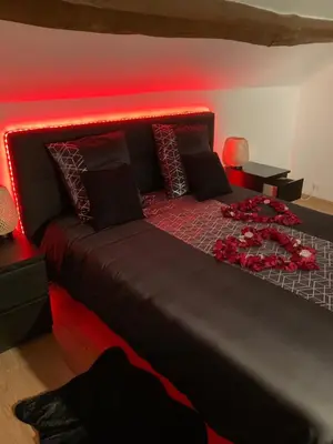 Un ou plusieurs lits dans un hébergement de l'établissement Agréable maisonnette de ville avec jacuzzi