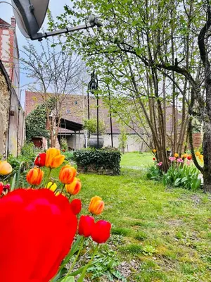 Jardin de l'établissement Au petit Jardin Sézannais