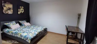 Un ou plusieurs lits dans un hébergement de l'établissement Appartement Cosy au cœur de la Champagne