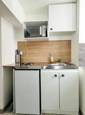 Cuisine ou kitchenette dans l'établissement appartement chic