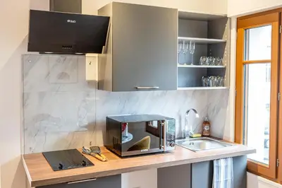 Cuisine ou kitchenette dans l'établissement L'elegant - Appart'Hotel Le Gatsby