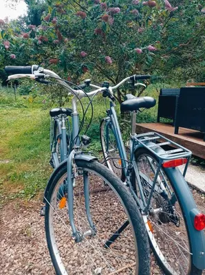 Vélo sur le terrain de l'établissement Chez Tombivouac ou dans les environs