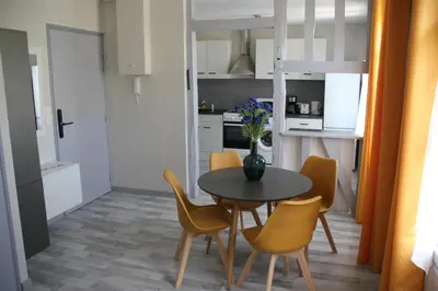 Cuisine ou kitchenette dans l'établissement Les appartements du Saint Hubert