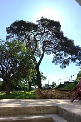 Jardin de l'établissement Moulin de la Ville Chamblon en Pleine nature parmi les chevaux proche château thierry