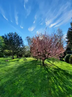 Jardin de l'établissement Les étangs du moulin d'Harcy