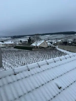 L'établissement Gîte indépendant Diz'enreves au cœur des vignes en hiver