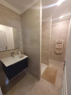 Salle de bains dans l'établissement Appartement Premium dans une belle demeure - Hyper centre-ville de Reims