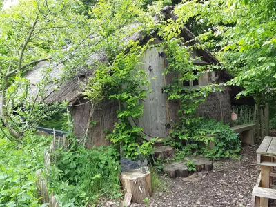 Jardin de l'établissement Cabane d'Augustin
