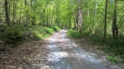 Paysage naturel près de l'appartement