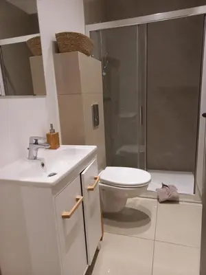Salle de bains dans l'établissement DOGA Bel appartement 1er étage 4 personnes bebe