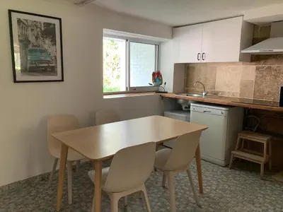 Cuisine ou kitchenette dans l'établissement Île aux Palmiers Appartement familial proche Disneyland