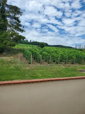 Paysage naturel près de la maison de vacances