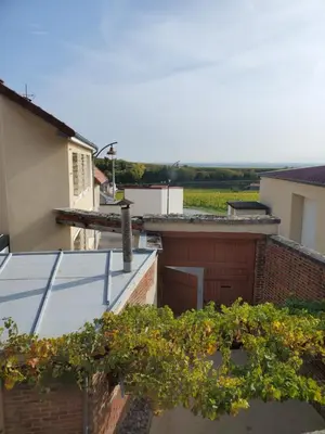 Balcon ou terrasse dans l'établissement À la croisée des Louvières - Le Mesnil sur Oger