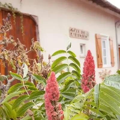 Gîte de l'Etrier 3 * : Le calme à la campagne !