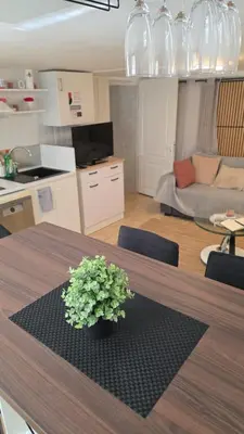 Cuisine ou kitchenette dans l'établissement Magnifique appartement 2p avec piscine partagée