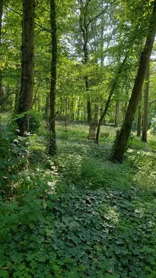Paysage naturel près de l'appartement