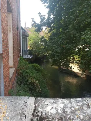 Paysage naturel près de l'appartement