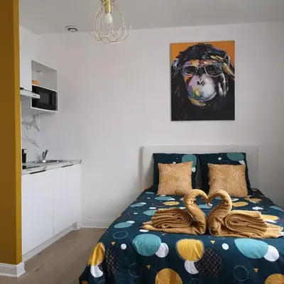 STUDIO COSY- CHALEUREUX- QUARTIER CALME- Wifi