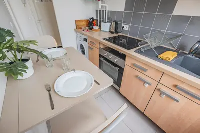 Cuisine ou kitchenette dans l'établissement Joli studio