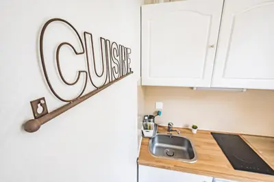 Cuisine ou kitchenette dans l'établissement Joli studio Le Cocon des Arènes, Roosevelt Arèna