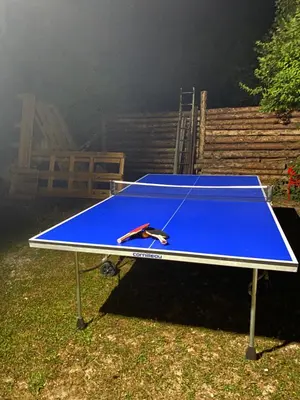 Tennis de table au sein de l'établissement Cottage tres bien équipé avec jacuzzi ou à proximité