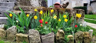 Jardin de l'établissement La Bohème