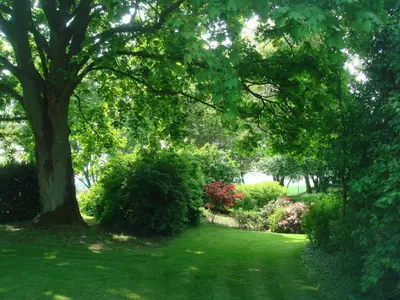 Jardin de l'établissement La Maison Blanche