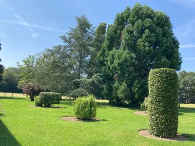 Jardin de l'établissement la Louvière