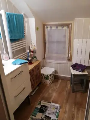 Salle de bains dans l'établissement Maison cocoon et chaleureuse